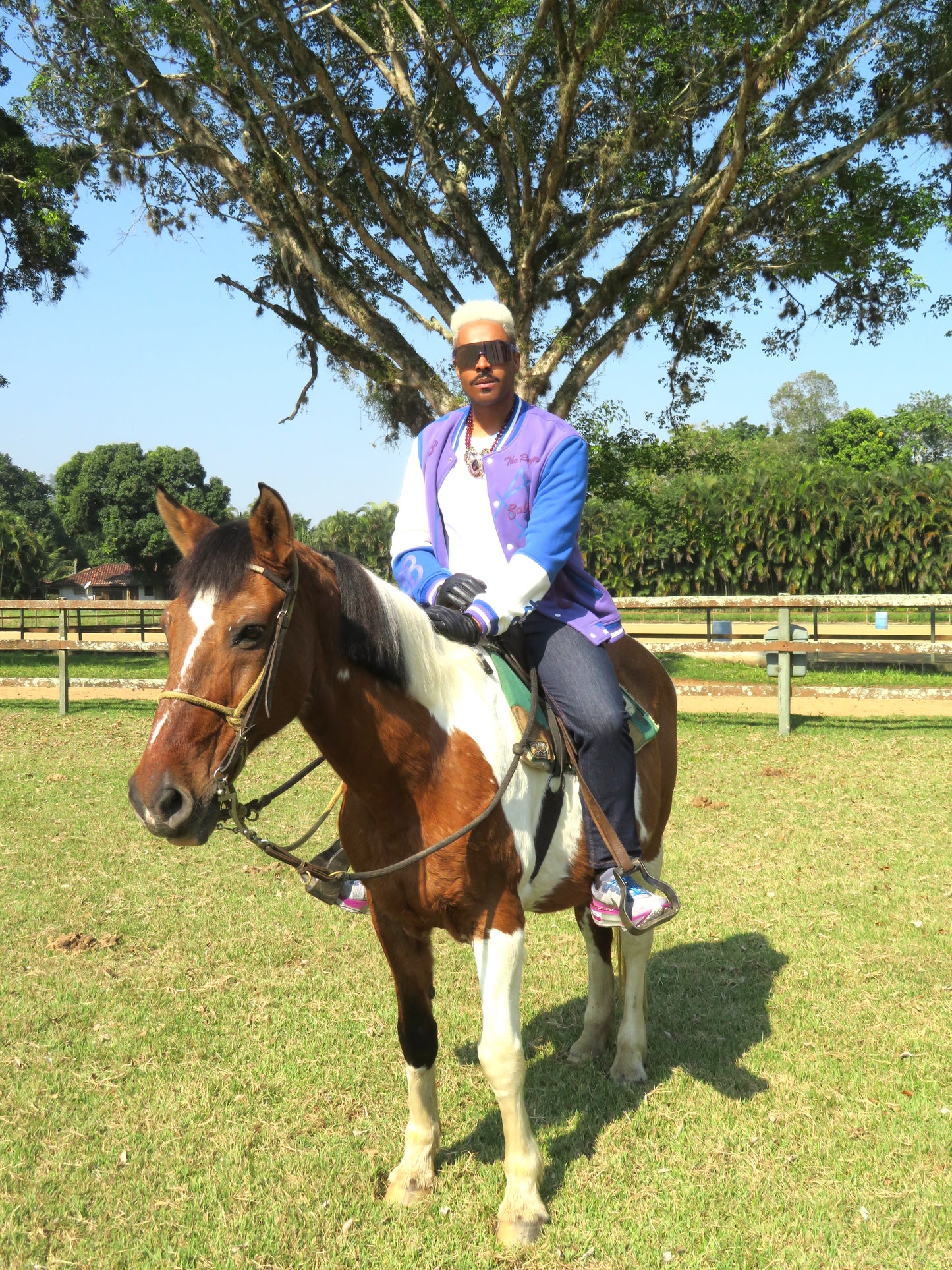 The Royal Purple and Blue Baseball Jacket – A Masterpiece of Majesty