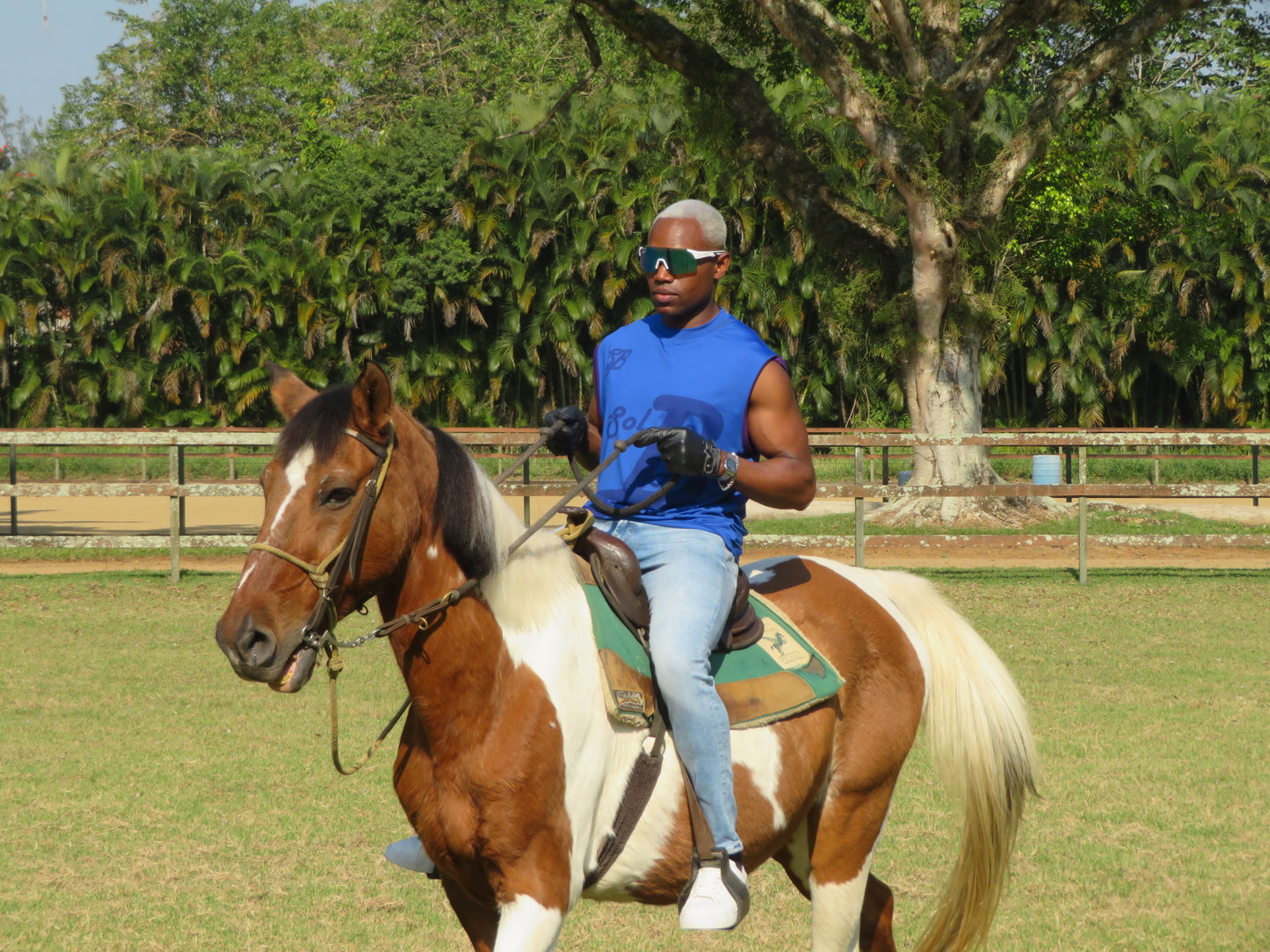 The Royal Blue B Vest – A Statement of Power & Prestige